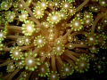   flowers underwater world  
